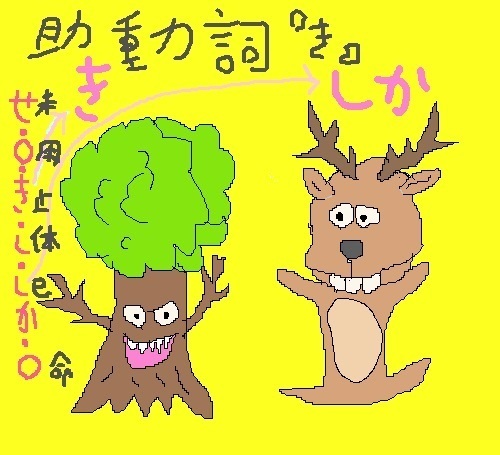 jodoshi-ki-izen-shika.jpg